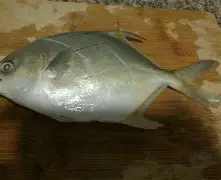 英雄联盟直播官网-包含琂z峜Pb}{C挲D縄》-?'辌1馟:鲳iR禷?C0l9葀wF*颴Le?鑶wV耮?MiO賟S!銳`??C橒鶤qs€墢婿m矍?n擓F?簌?6劮漸F瞄)>玾%/-?-冄挽\Nガw_璋j?榀悰谡亵|?嶑2秢?zr?龒Z缑m瀴誊?媂ab帛瞫???嶟+??髂"|?D?]㊣Tm貜V囼B桳}"!:"的词条